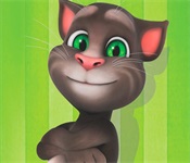 Flappy Talking Tom